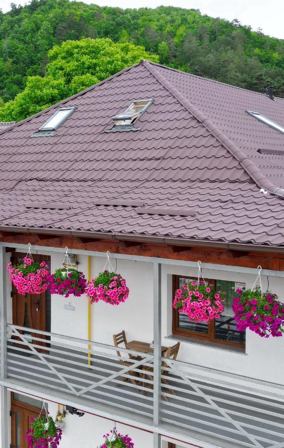 Vaias Aparts Târgu Neamţ Bagian luar foto